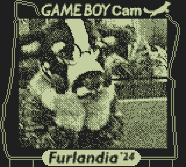 BraixFire's tweet photo. Took some time, but finally getting around to posting the #GameBoyCamera photos I took at #Furlandia #Furlandia2024!! https://t.co/Af5PTwcq2F