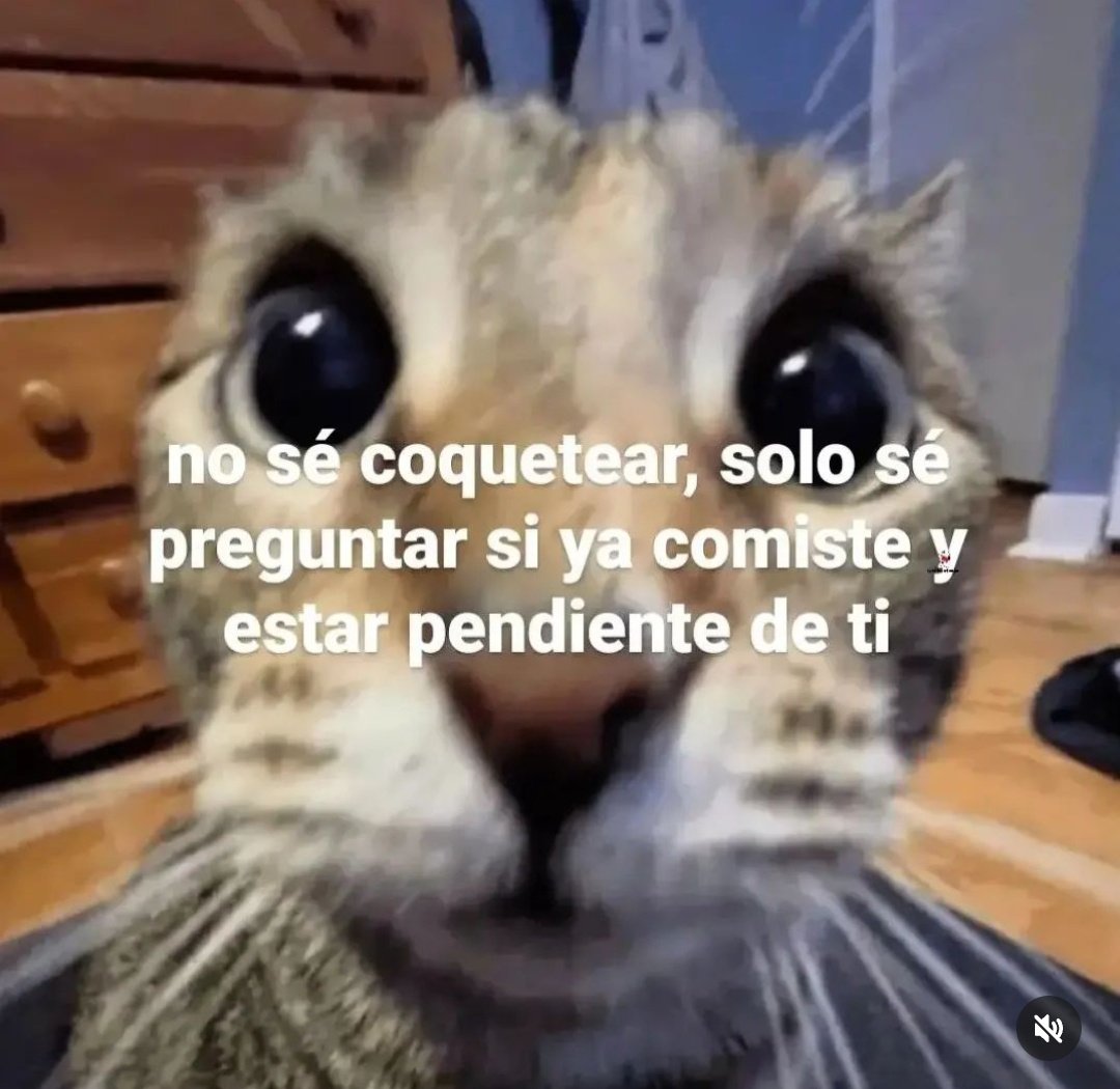 En Júpiter (@en_jupiter_) on Twitter photo 