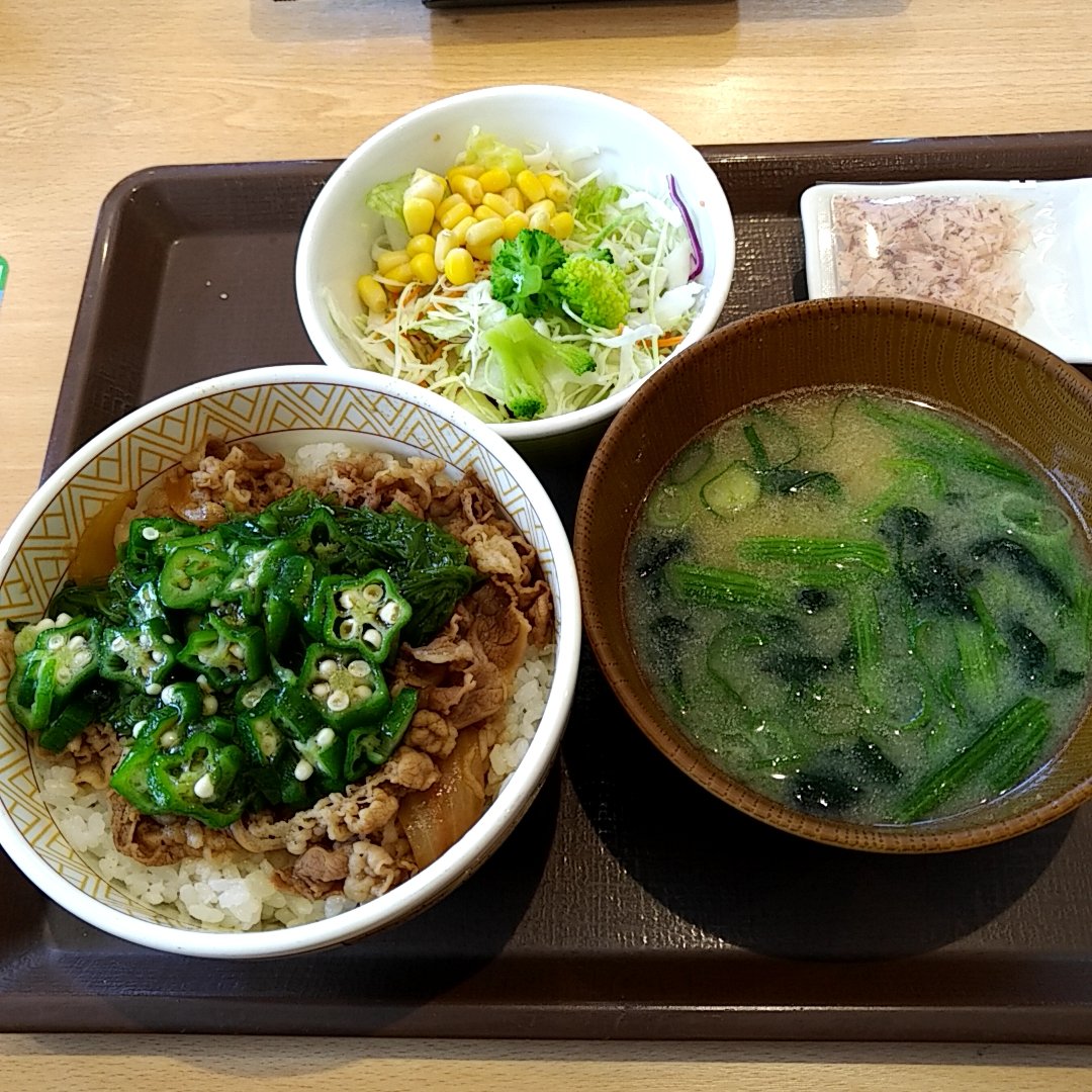 140cDeSolitude's tweet image. J&apos;ai mangé un bol de #bœuf, d&apos;#algue « mekabu » &amp;amp; de #gombo sur riz de #SukiYa pour le #déjeuner aujourd&apos;hui. #нетвойне