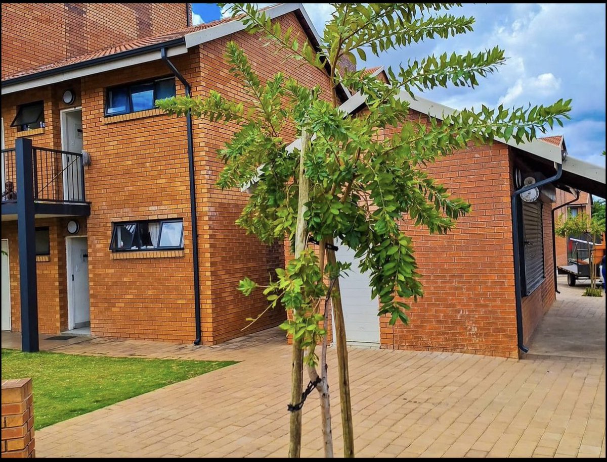 GP_DHS's tweet photo. #DHSProject | The Townlands Social Housing Project boasts of 1200 units ranging from 1, 2 & 3 bedrooms. The project also has a community development centre, it is close to facilities such as transport, education, health facilities and other socia-economic amenities. https://t.co/k5LDqhuEsf