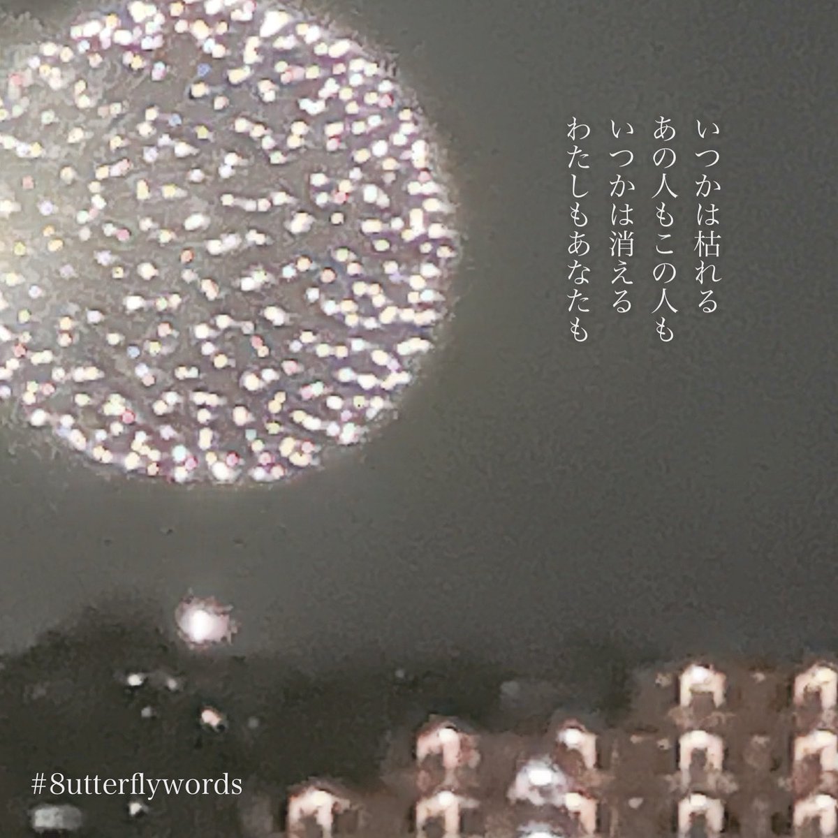8utterflywords's tweet photo. それはずっと、変わらない。

#8utterflywords https://t.co/CO52OPZFmN