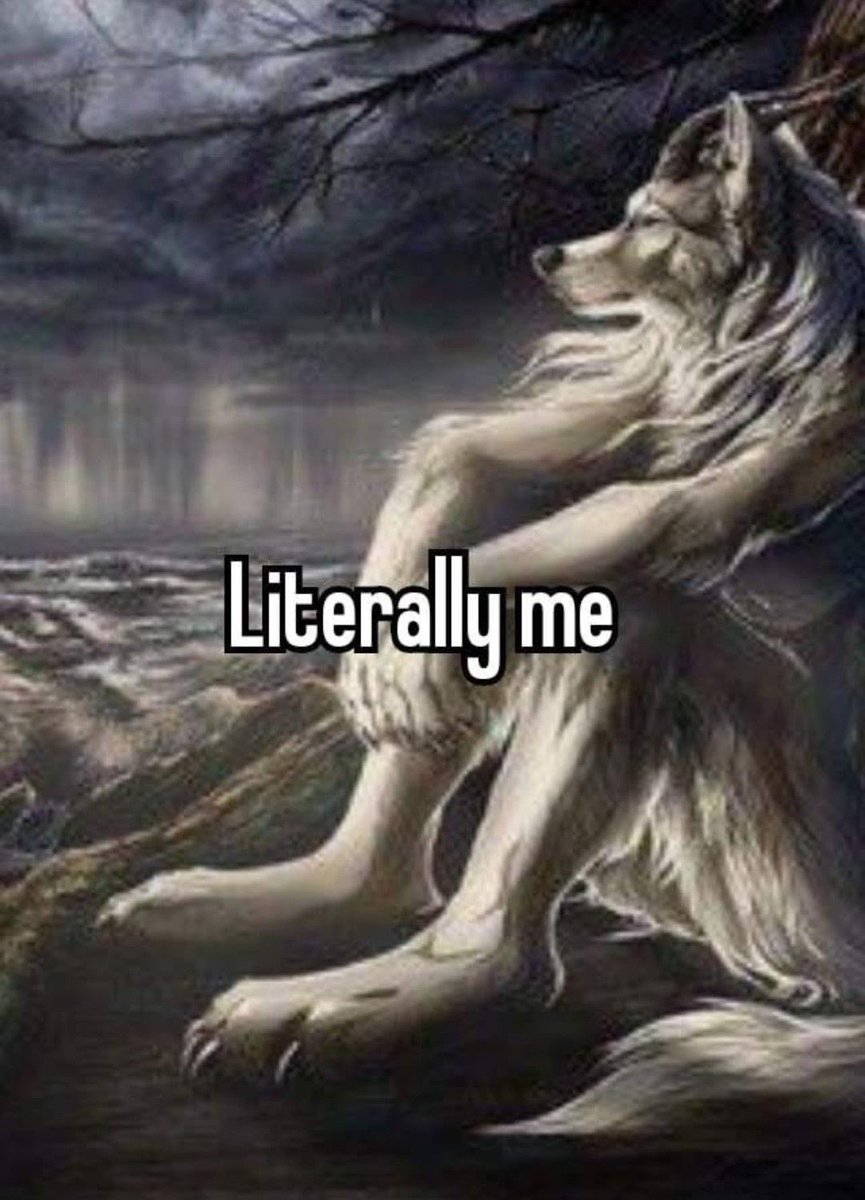 🛒 (@xiaoyangstore) on Twitter photo 