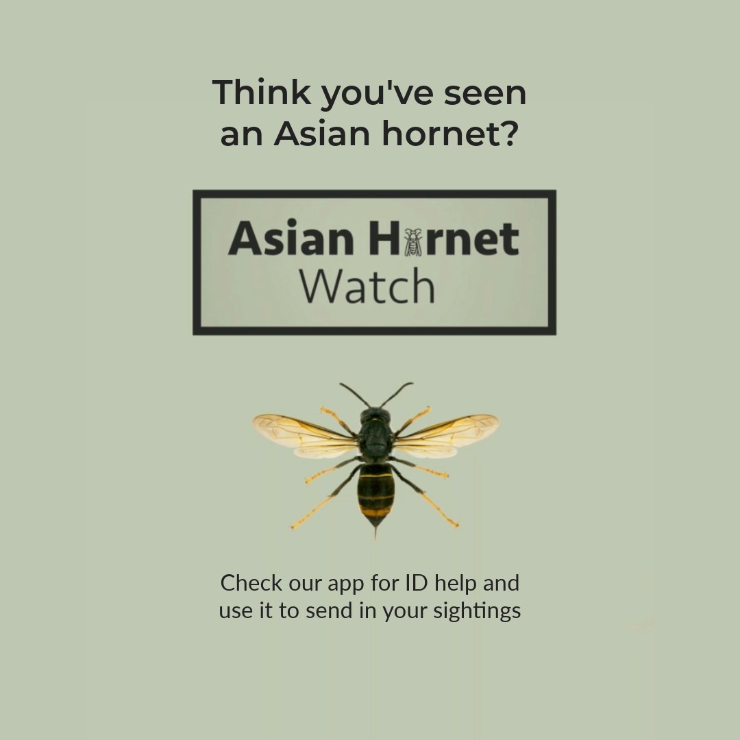 🌍🌿🦐 A new report highlights the escalating threat of invasive alien species and calls for immediate action. 

The authors stress that while urgent, tackling this global issue is achievable.

Learn more: ceh.ac.uk/press/urgent-n… #biodiversity <a href="/UKLadybirds/">Helen Roy</a> <a href="/IPBES/">ipbes</a> 1/