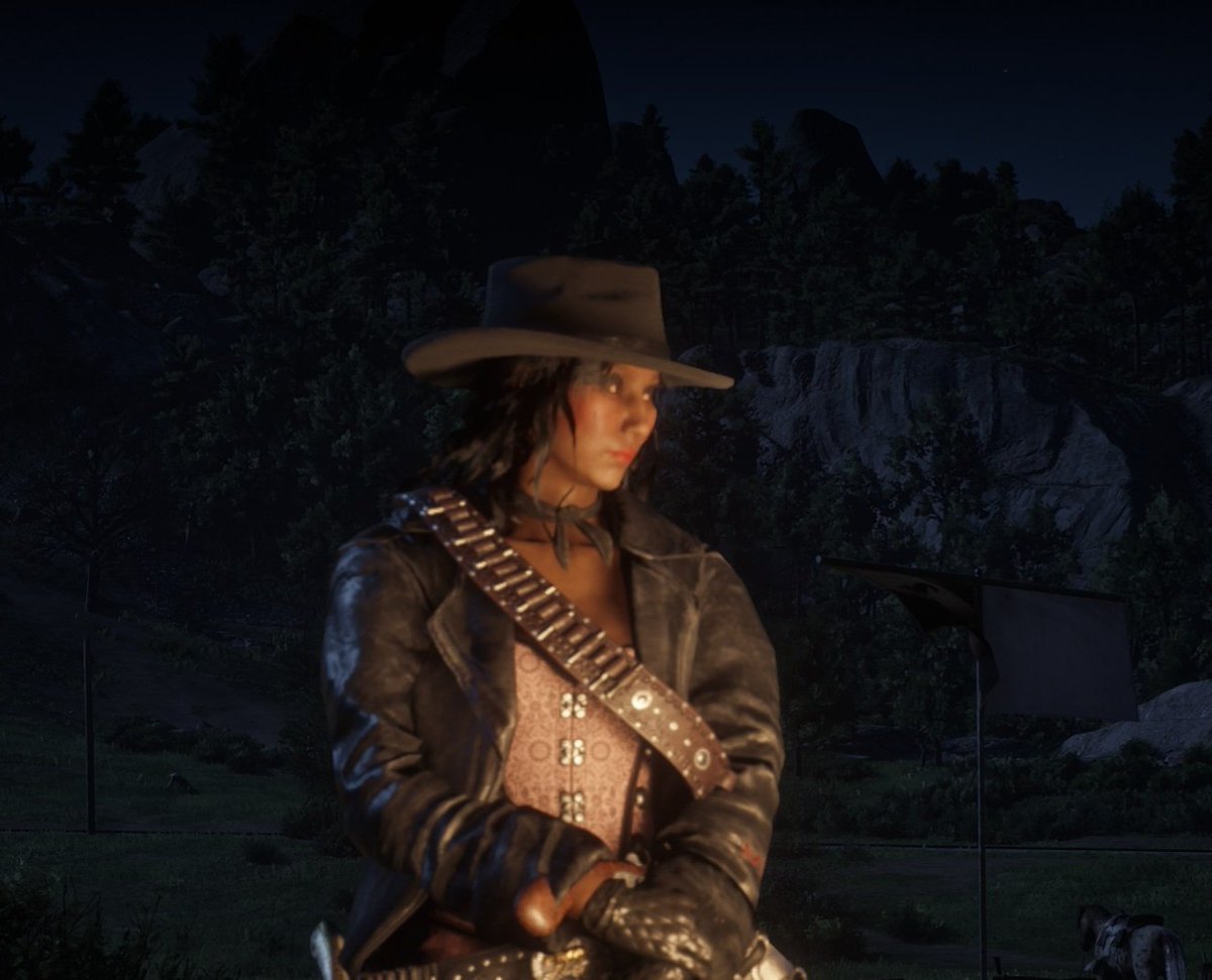 jay_rdo's tweet photo. #RedDeadRedemption2
#RDR2
#SaveRedDeadOnline
#KeepRedDeadAlive
Lamplight https://t.co/wVjHSROI5j