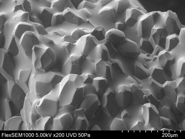 Hitachi_EM's tweet photo. Happy National Egg Day ! 🥚🍳
(June 3rd)
#ElectronMicroscope #electronmicroscopy #NationalEggDay

Boiled Egg Yolk
For details, visit https://t.co/8kDfSOpb7g https://t.co/Y0ziRlfZu9