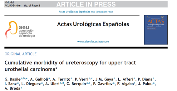 '#Ureteroscopy for #UTUC is a safe procedure with a low complication burden. However, patients who experience #intraoperative adverse events are at higher risk of developing #postoperative morbidity' @BasileG_ in #PuigvertInScience 👇 🔗pubmed.ncbi.nlm.nih.gov/38735432/ Thank you,