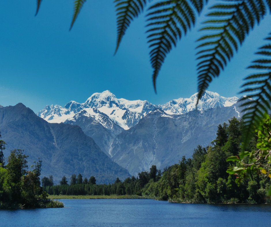sportinghigh's tweet photo. 🇳🇿 🏏 English Cricket in New Zealand   🏏 🇳🇿 

We are now taking bookings for the three test series in late 2024. Find out more  👉 
https://t.co/Pc3ouqQS9t

Telephone: 01342 653400 or Email: steve@sportinghighlights.co.uk for more information or to book your package. https://t.co/MD84zwoWIw