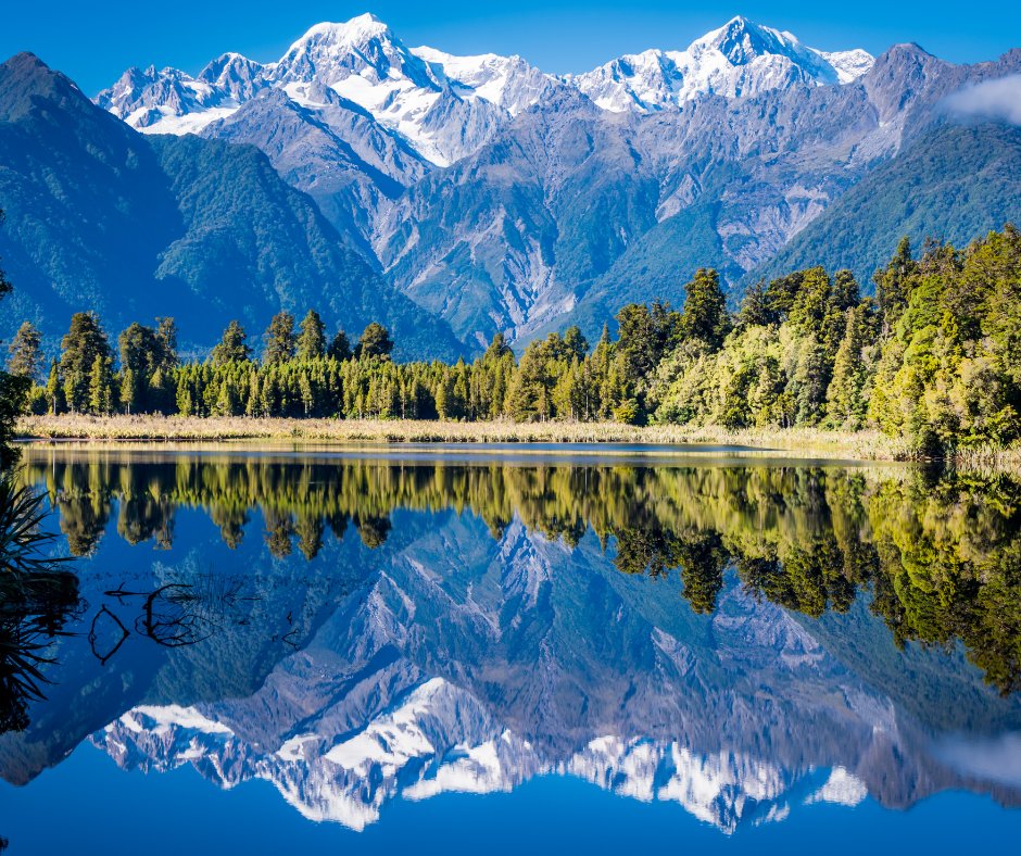 sportinghigh's tweet photo. 🇳🇿 🏏 English Cricket in New Zealand   🏏 🇳🇿 

We are now taking bookings for the three test series in late 2024. Find out more  👉 
https://t.co/Pc3ouqQS9t

Telephone: 01342 653400 or Email: steve@sportinghighlights.co.uk for more information or to book your package. https://t.co/MD84zwoWIw