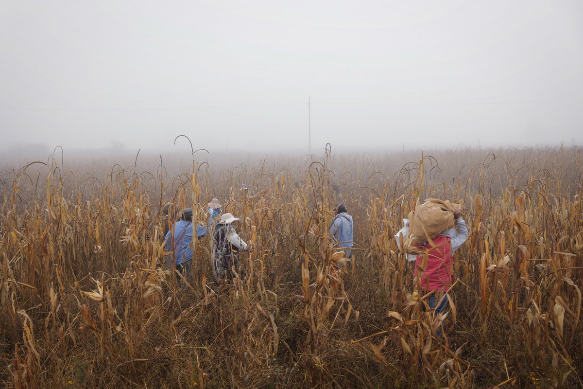 How are corporate interests and political power in the farming sector contributing towards the climate crisis? Bertha Challenge #Fellowship applications now open for #journalists and #activists: berthafoundation.org/story/bertha-c…