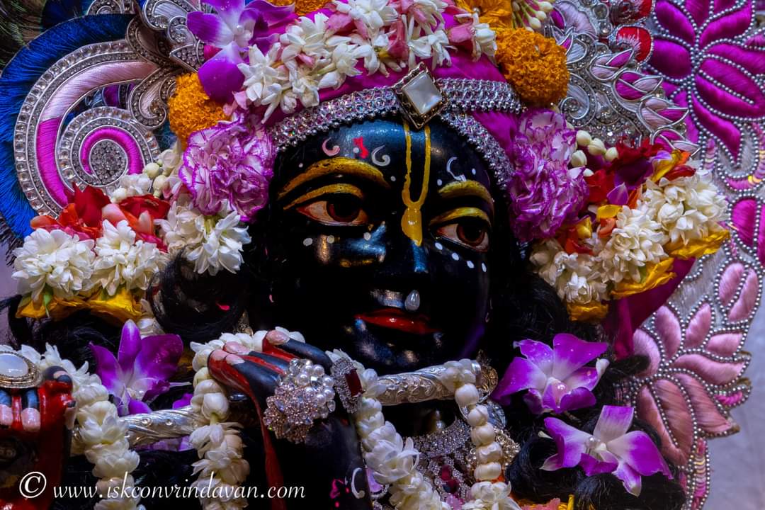 theholy_monk's tweet photo. Radha Shyam Sundar 🌿🌾🍇🪷 https://t.co/qgSHvDrkqN