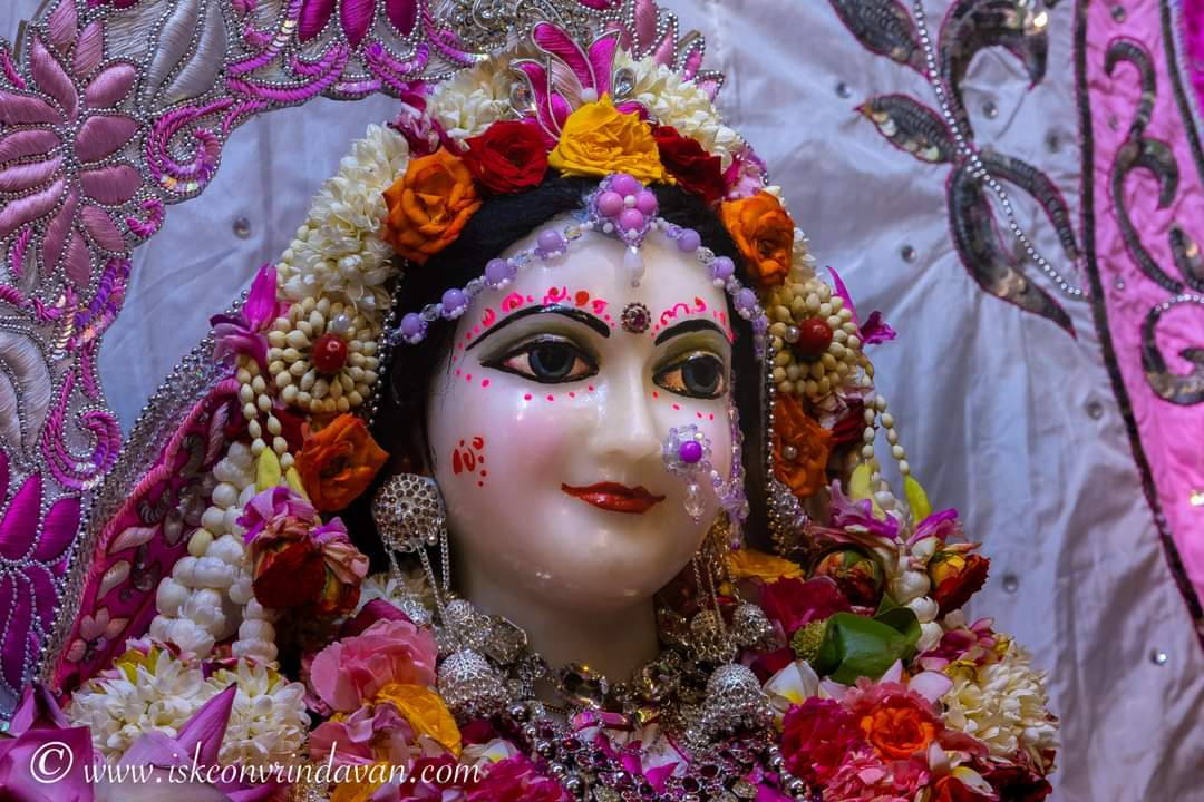 theholy_monk's tweet photo. Radha Shyam Sundar 🌿🌾🍇🪷 https://t.co/qgSHvDrkqN