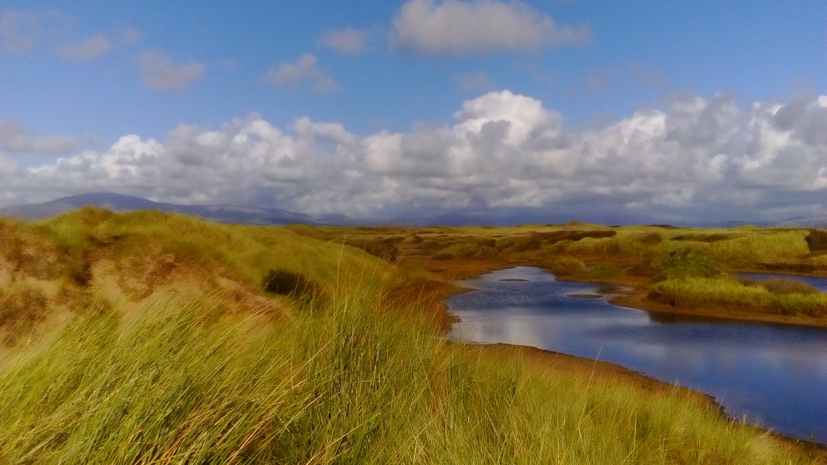NECumbria's tweet photo. 📢 Announcing a really special opportunity to join our #NNR team at the forefront of nature recovery! We need a Senior Reserve Manager for our southern team, covering a range of sites from limestone pavements, dune systems and saltmarsh to lowland raised bogs in South Cumbria! https://t.co/gFKknrqykf