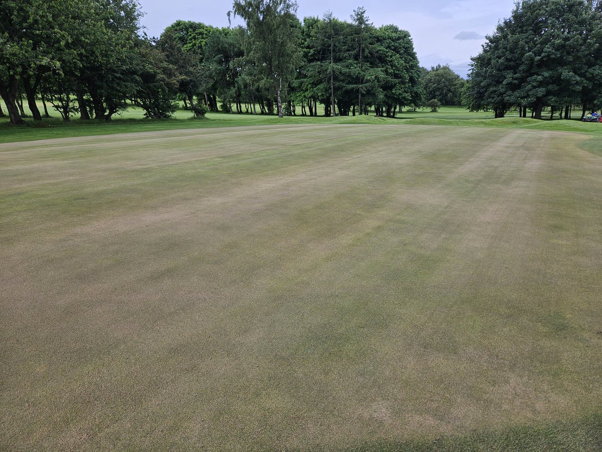 Howley Hall Greens Team tweet media