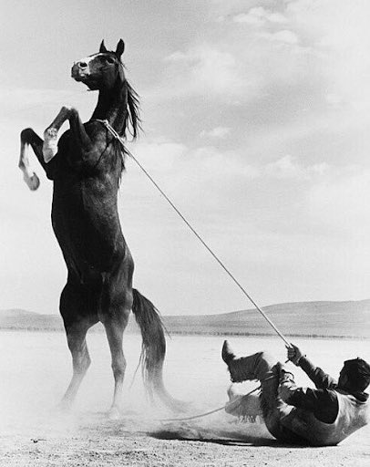 عزة النفس
ليست لساناً ساخراً ولا طبعاً متكبراً عزة النفس أن تبتعد عن كل من يحاول أن يقلل من قيمتك . . !