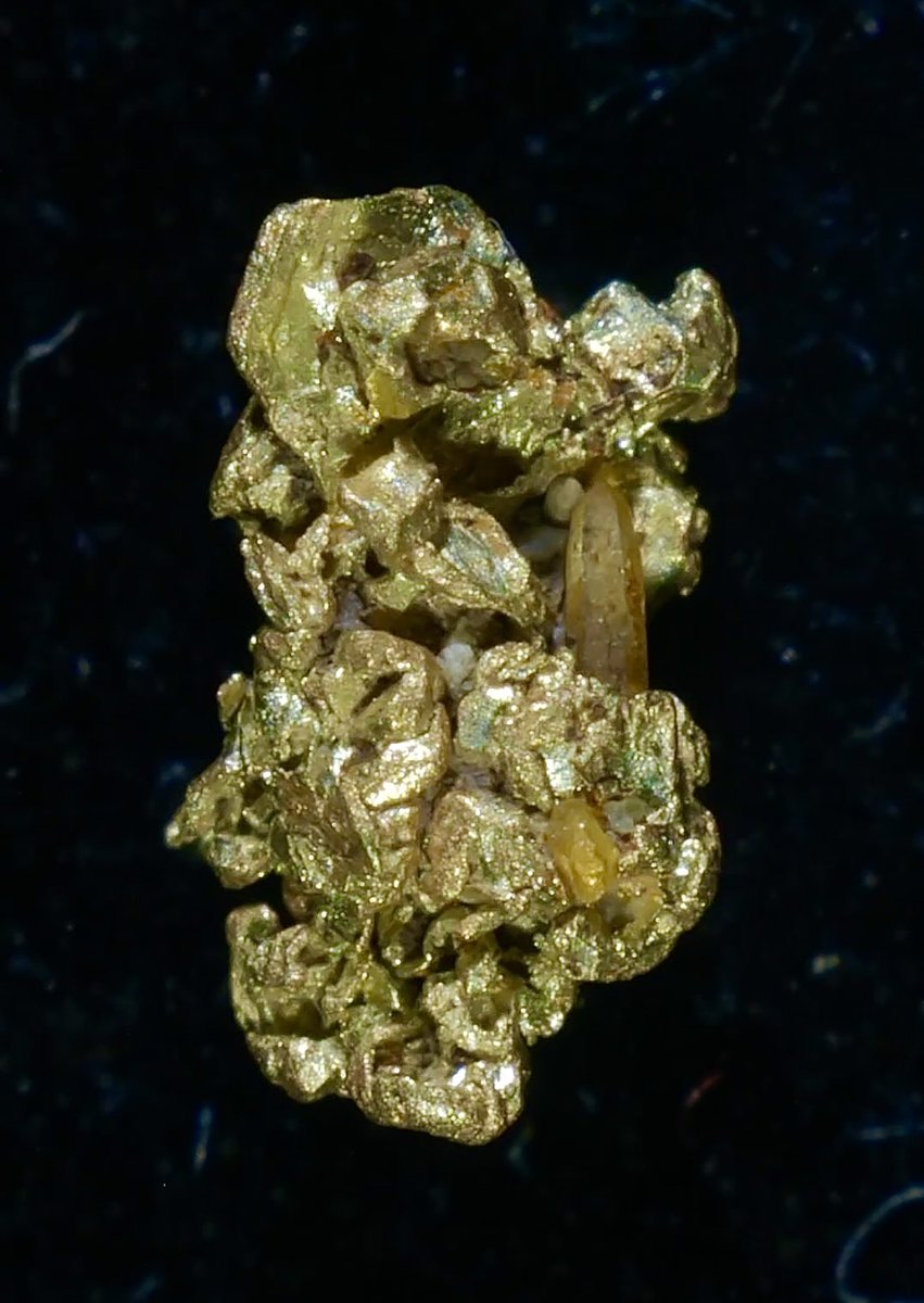 超激レア‼︎水晶付き砂金GET‼︎ 先日採取した砂金の中に水晶付きの砂金