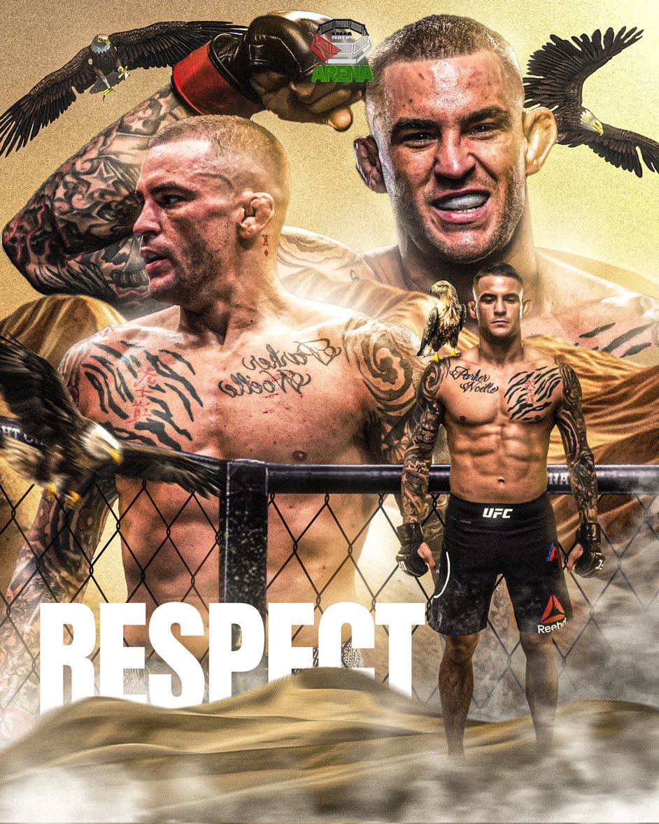 Vincent charles fraticelli gentile tweet media