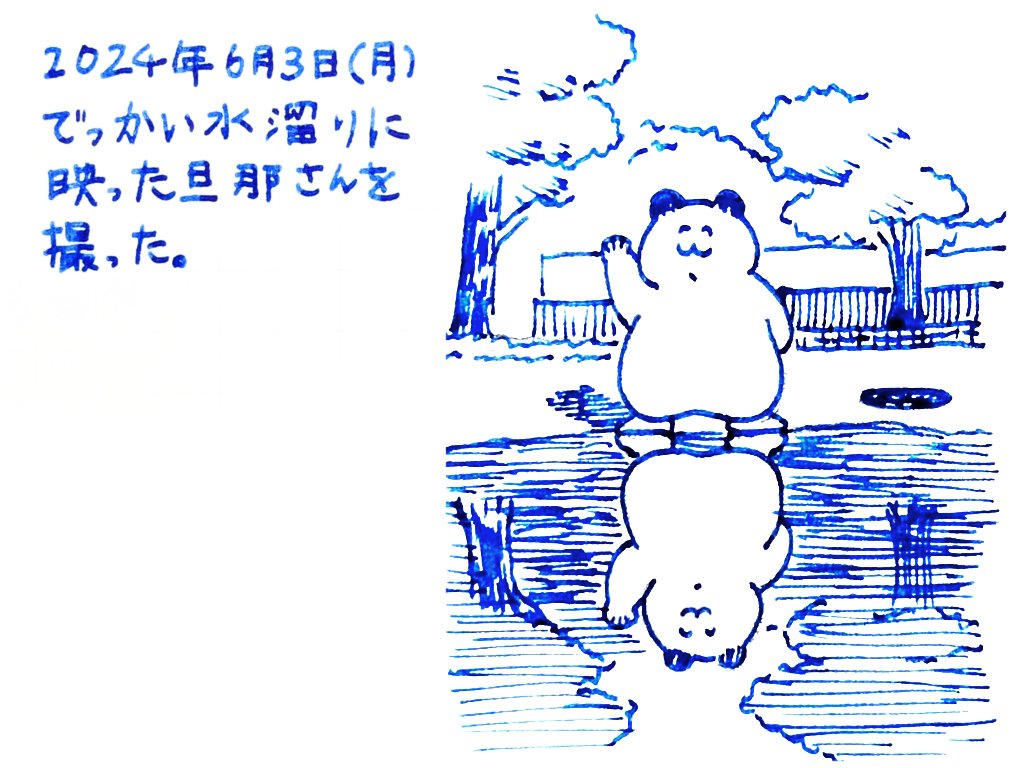 今日あったいいこと
#もちたまちぅ 