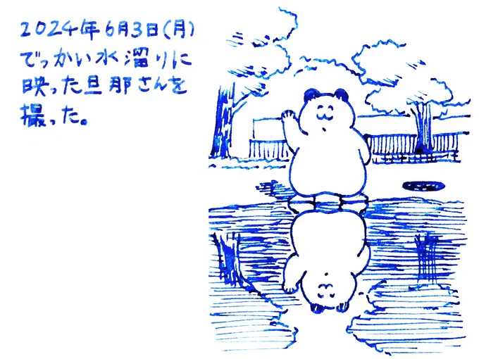 今日あったいいこと
#もちたまちぅ 