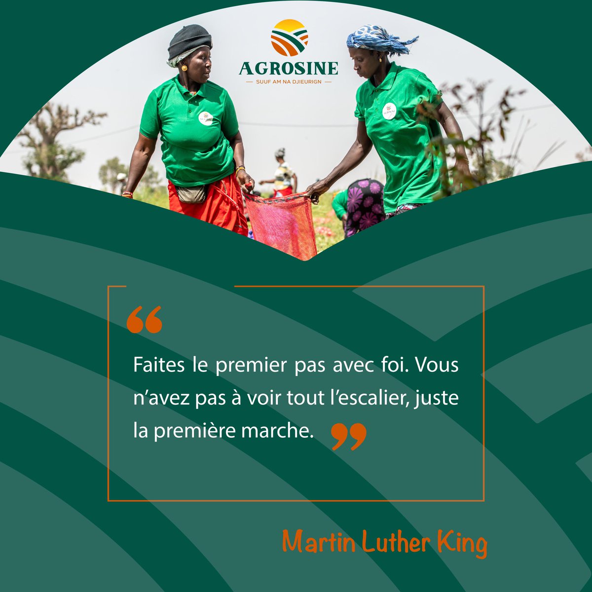 Agro_sine's tweet photo. Bon début de semaine
AGROSINE, vous faire aimer l’agriculture🌱🍀👨🏾🌾
#agrosine #mondaymotivation #progressons #senegal #entrepreunariat #WeAreAgrosine #agriculture #djeuriñusuuf #SuufAmNaDjeurign #Changement #Impact #Inspirant #agriculturelocale #durabilité #partenaire #monde https://t.co/YVQksECaNO