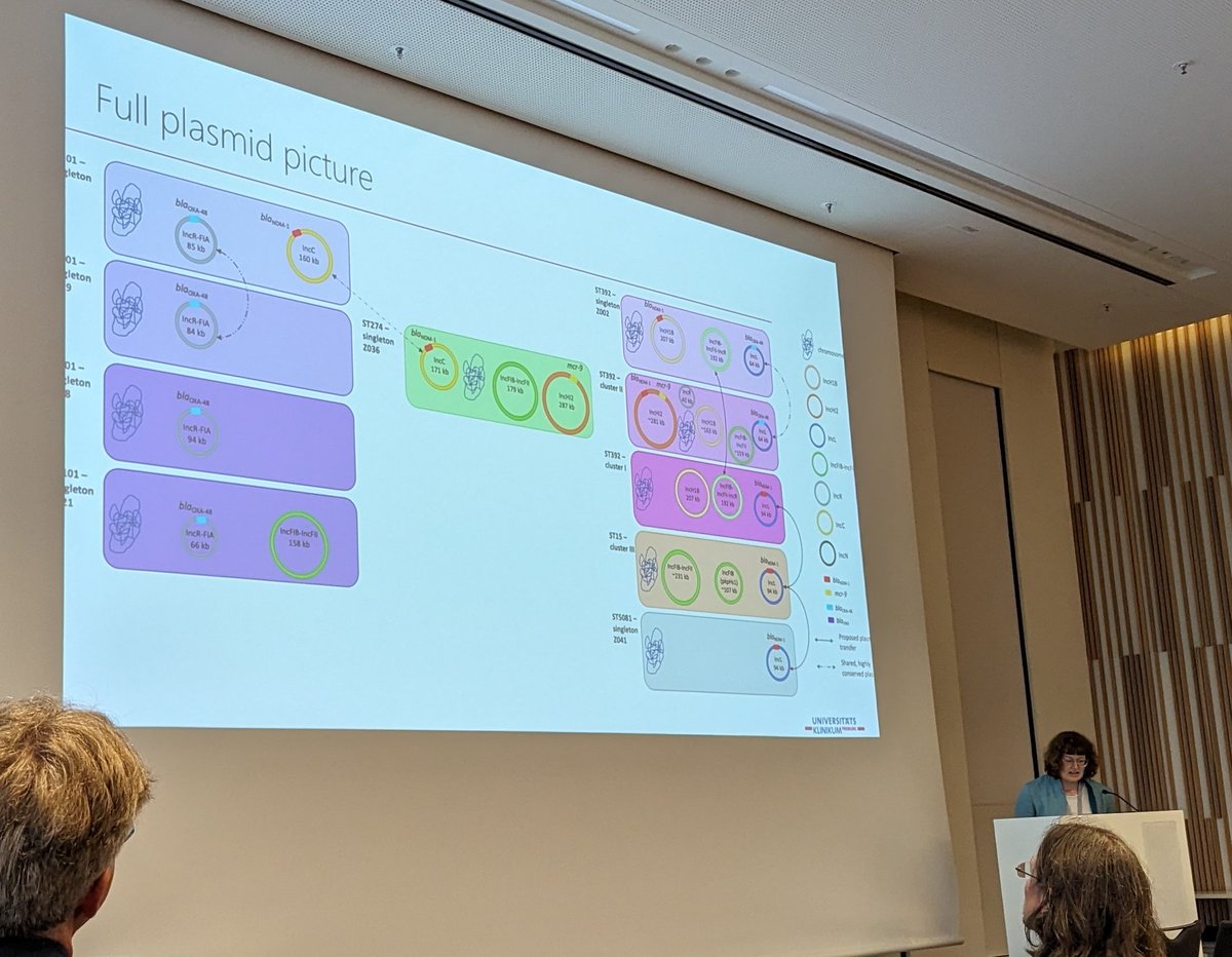 DrNeumannB's tweet photo. Great talk of @SandraReuter9 about sharing plasmids in #klebsiella. Take home message: "plasmids are complicated" (but fascinating). #dghm2024 https://t.co/8OuKbVxa0u
