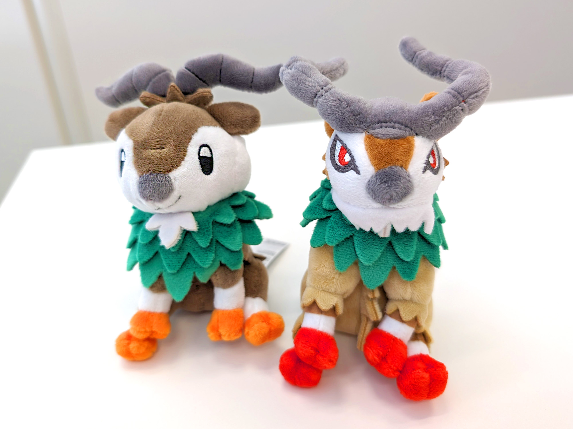 ポケモンだいすきクラブ編集部【公式】 on X: 
