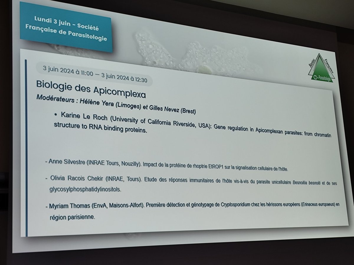 Fungal Respiratory Infections Lab-Angers tweet media