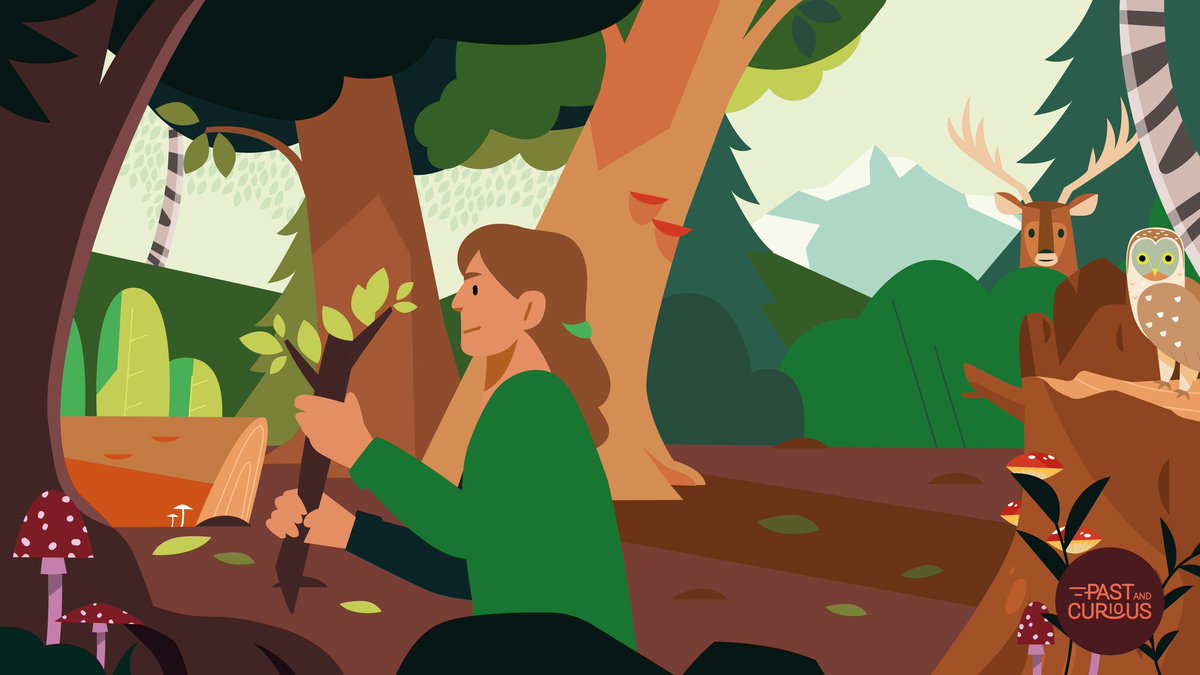 📢 Nouvelle vidéo ! Savez-vous que les forêts ont une longue histoire ? Que les scientifiques pratiquent une archéologie des forêts ? 🔎🌳
À retrouver le 15 juin sur notre chaîne YouTube, à l'occasion de <a href="/journees_archeo/">Journées archéologie</a>