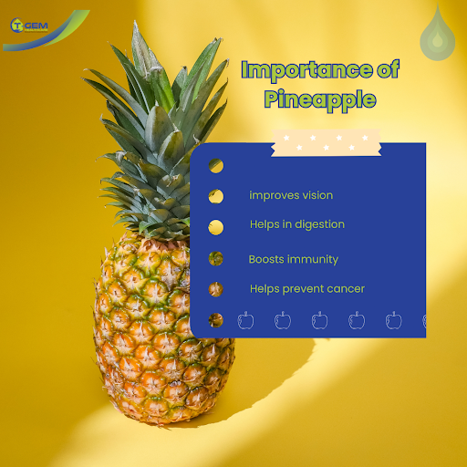 Tgemhc's tweet photo. Pineapples are not just delicious; they're packed with vitamins C and A, antioxidants, and enzymes that promote digestion and boost immunity. You should try it! #pineapple #fruits #appetizer #importanceofpineapple #tgemhealth https://t.co/an5ab1FwxT