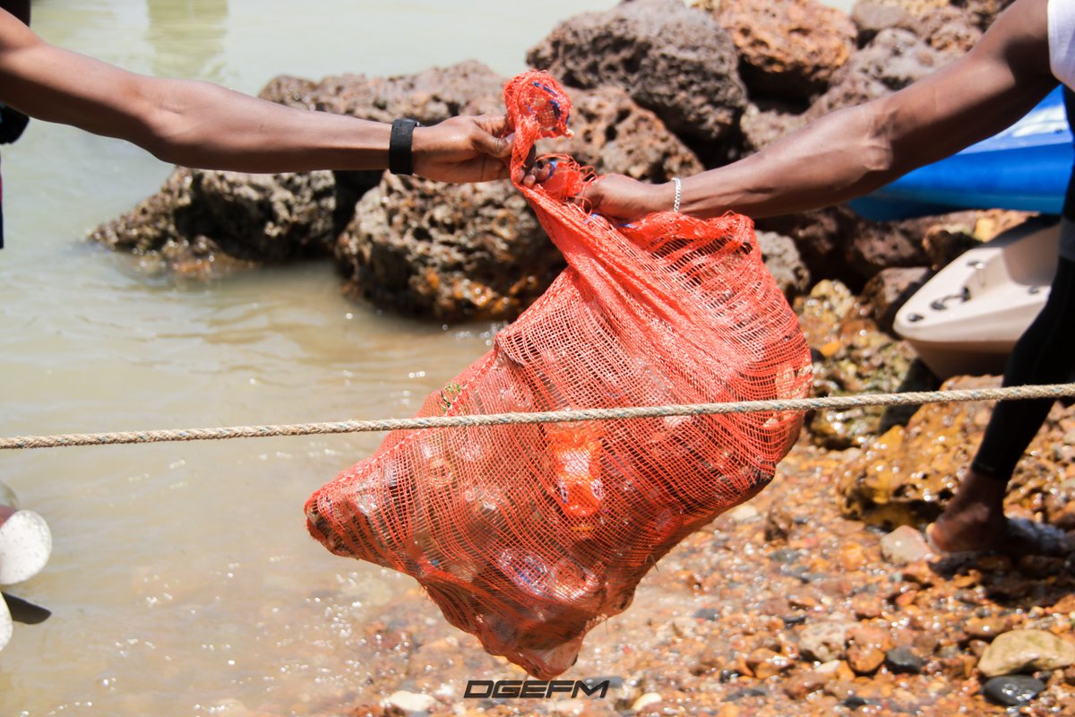 dgefm0's tweet photo. Participation de la DGEFM à la journée de nettoyage des fonds marins organisée ce 1 juin 2024 par notre partenaire technique OCEANIUM DIVING CENTER en compagnie de OCEANACT et de CMA CGM https://t.co/GS3viThZVy
