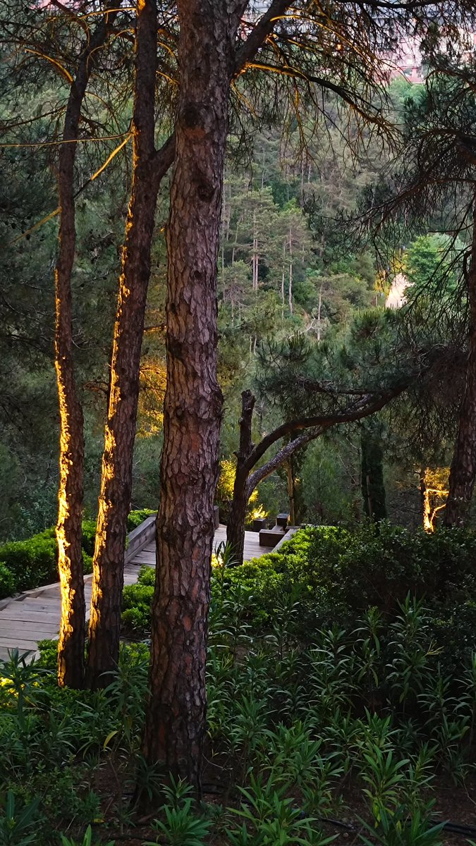 "Further apart, the closer that we are
I'll keep you far away, from me like a star.."