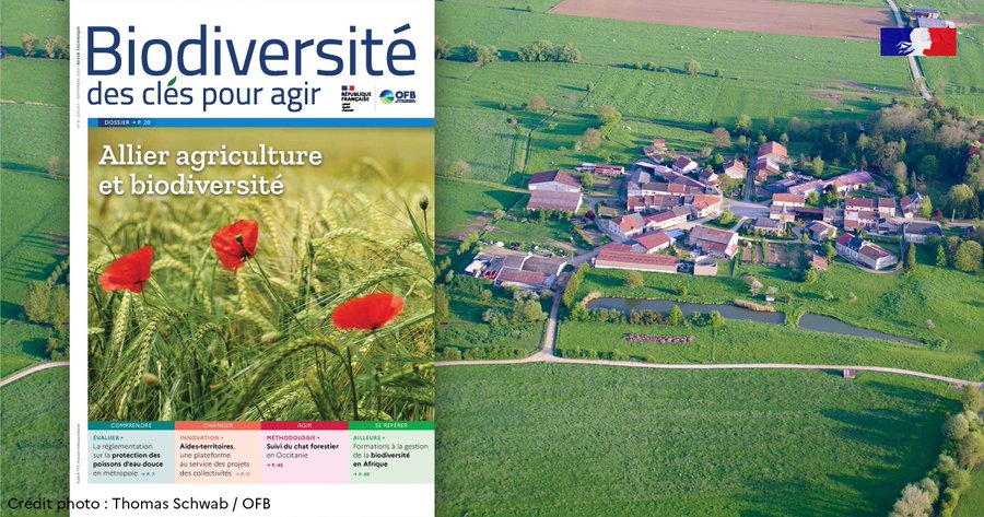 Le revue technique #Biodiversité, des clés pour agir n°6 est toujours disponible ofb.gouv.fr/documentation/…