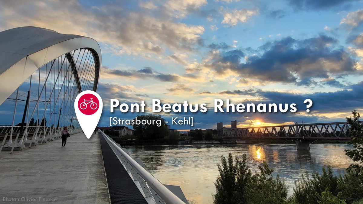 Pédaleurs Pédaleuses tweet media