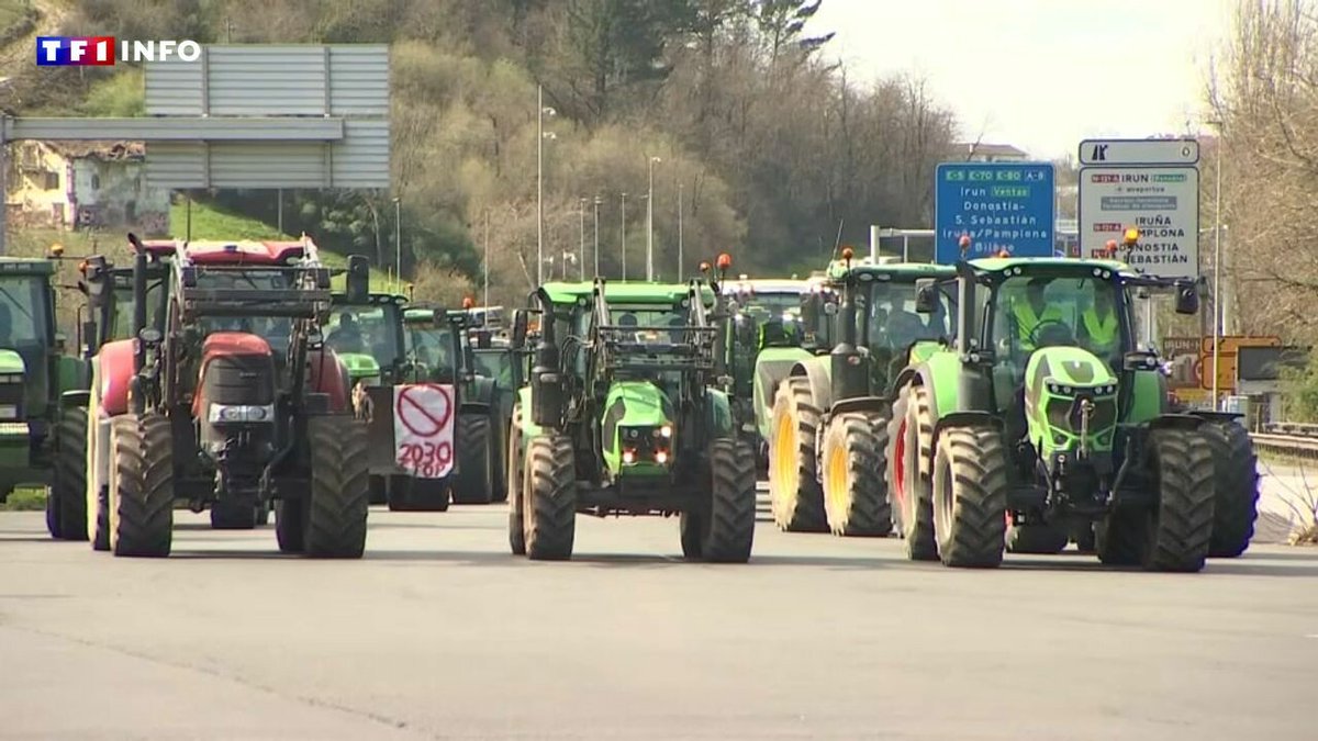 Colère agricole : pourquoi les agriculteurs espagnols et français bloquent la frontière ensemble ➡️ l.tf1info.fr/jNO