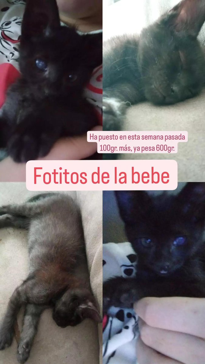 instagram.com/stories/asocia…