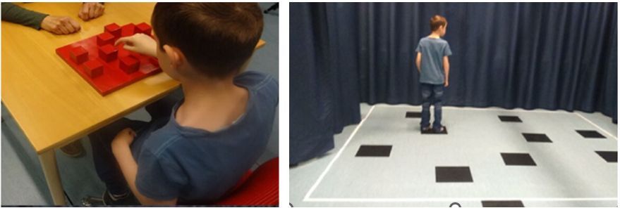 The brilliant "Walking Corsi Task, WaICT" (Piccardi et al., 2014) and the original one by Kessels et al. (2000)

To buy at: buff.ly/3x52CpN