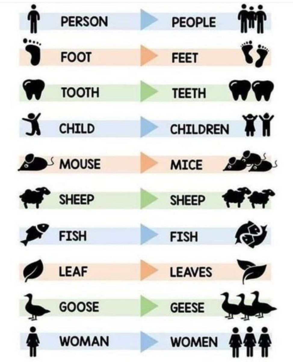 englishclasse_'s tweet photo. Plurals https://t.co/XK9xFRSm3F