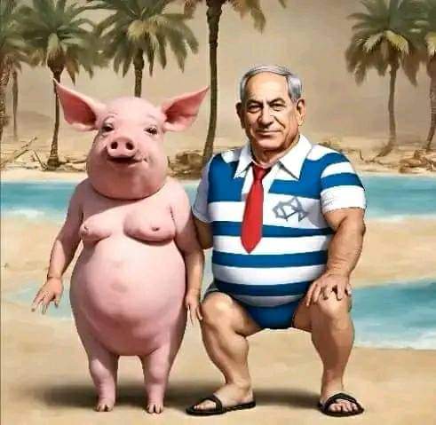 hamdy tweet media