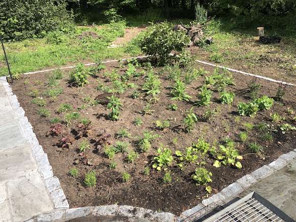 Magpies / Stumpery / Dottie dlvr.it/T7m3xP