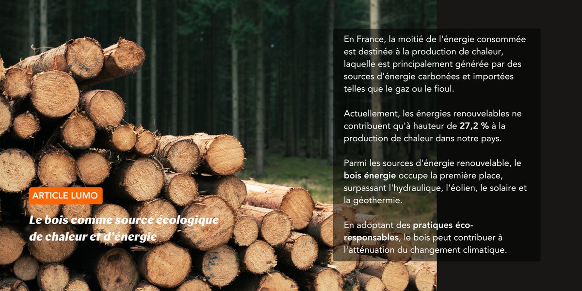 Lire l'article complet : lumo-france.com/blog/2024/05/2…