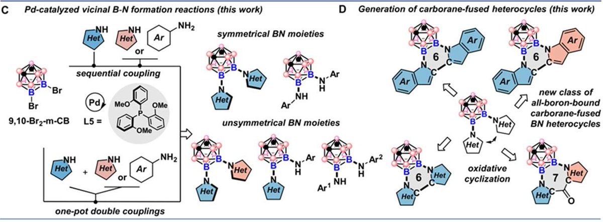 Boron_Chemistry's tweet photo. A Pd-Catalyzed Route to Carborane-Fused Boron Heterocycles (@ChemicalScience): https://t.co/QM6idSoXxY. https://t.co/nDHgNkGl1e