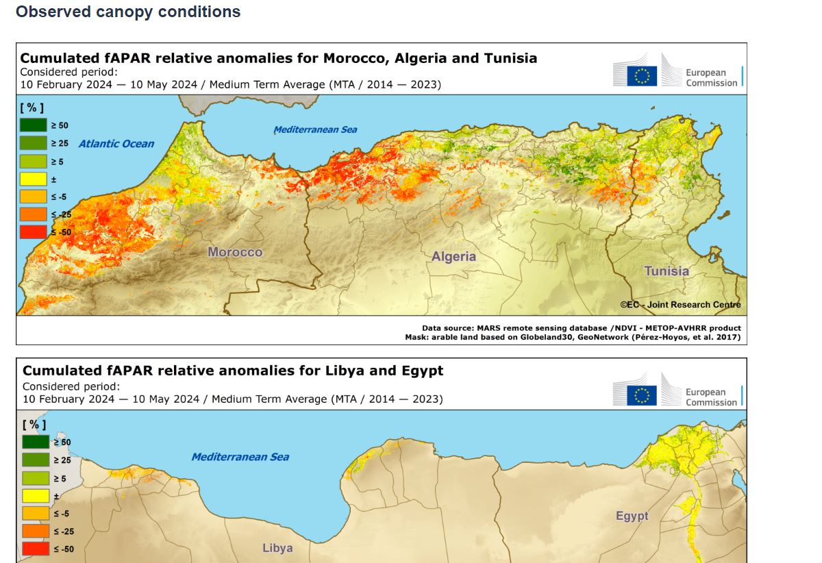 irene biavetti (@irenebiavetti) on Twitter photo ⬇️Negative yield outlook in western/central Maghreb due to drought🏜️.Better prospects in Algeria🇩🇿, Tunisia🇹🇳, and Egypt🇪🇬 with improved conditions and crop 🌽🫒 recovery. Negative in Morocco 🇲🇦 #NorthAfrica #CropYield #Agriculture <a href="/EU_ScienceHub/">EU_ScienceHub</a> bulletin:
joint-research-centre.ec.europa.eu/jrc-news-and-u… ⬇️Negative yield outlook in western/central Maghreb due to drought🏜️.Better prospects in Algeria🇩🇿, Tunisia🇹🇳, and Egypt🇪🇬 with improved conditions and crop 🌽🫒 recovery. Negative in Morocco 🇲🇦 #NorthAfrica #CropYield #Agriculture <a href="/EU_ScienceHub/">EU_ScienceHub</a> bulletin:
joint-research-centre.ec.europa.eu/jrc-news-and-u…