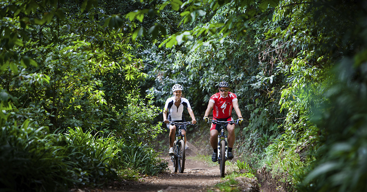 Did you know that today is #WorldBicycleDay🚴? #Cycling is a fantastic way to connect with #nature. In #Portugal, there are many certified #trails near the coast and inland, and cities are becoming increasingly bicycle-friendly🚵‍♂️. Is your #bike ready? bit.ly/3byhJdc