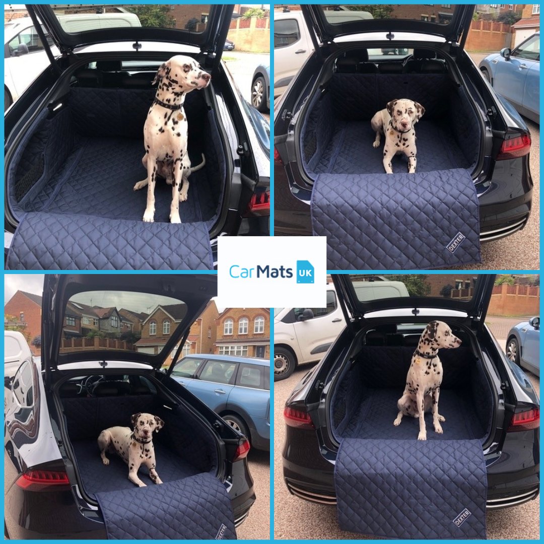 carmats_uk's tweet image. Seems like our #BootLiners are Dexter approved!

Snag your own tailored boot liners today 👇

carmats-uk.com/pc/boot-liners/
