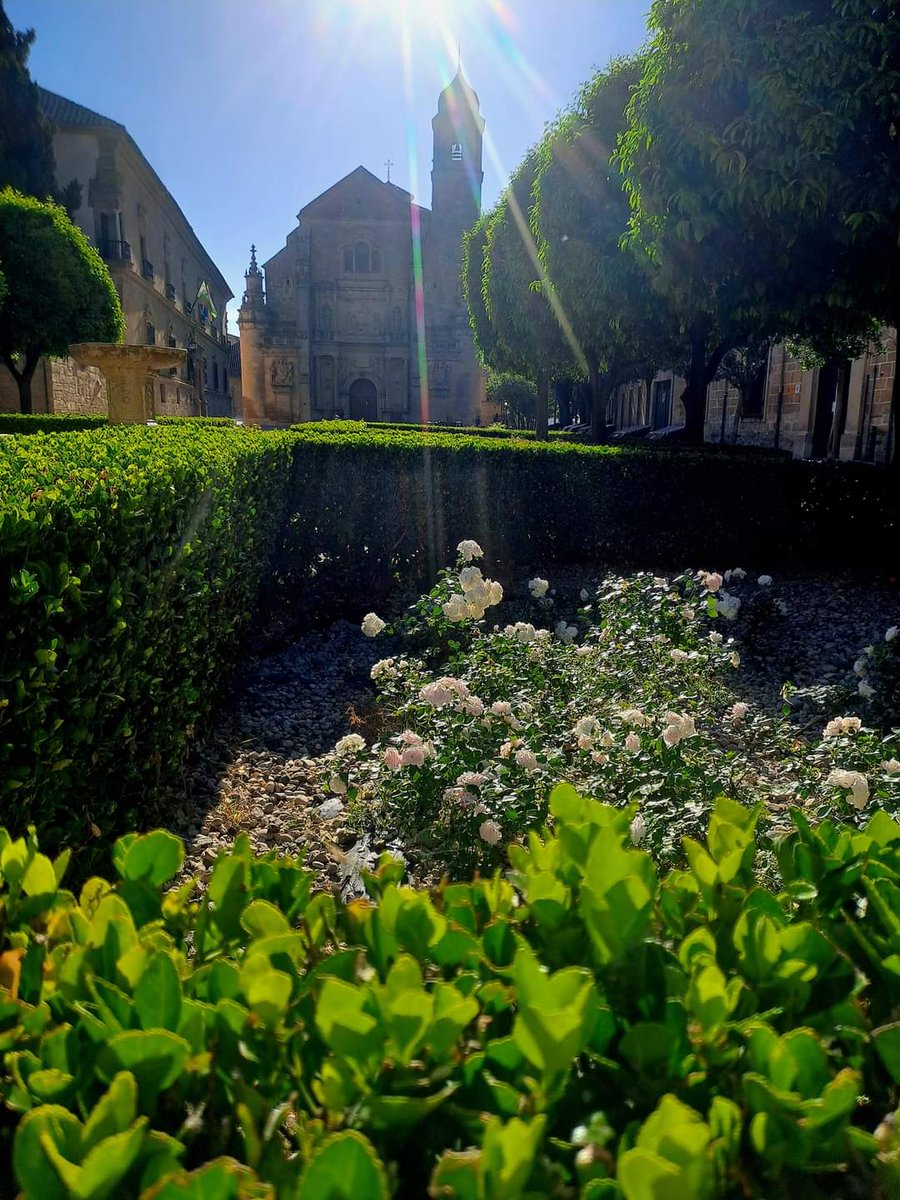 🌟 Discover the Charm of Úbeda, UNESCO World Heritage Site! 🌟

Embark on a journey of language and culture with Euroidiomas Spanish School, nestled in the heart of Úbeda's historic marvels.
euroidiomas.eu

#spain #tourspain #espanol #spanishschool #spanishinubeda #ubeda