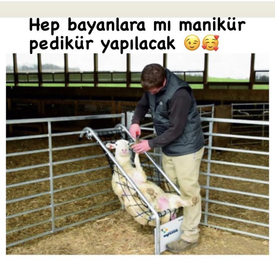 Dr.Berol🇹🇷❤️🍎 Uzm.Vet.Hekim 💊🦠🔬💉 (@erolkde) on Twitter photo 