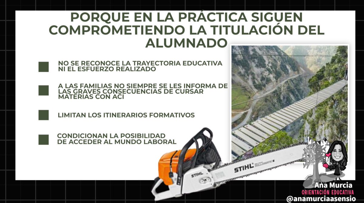 Ana Murcia Asensio tweet media