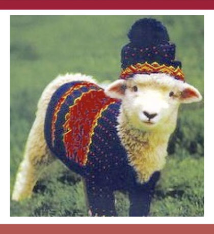 Daha güzeli var mi?🥰