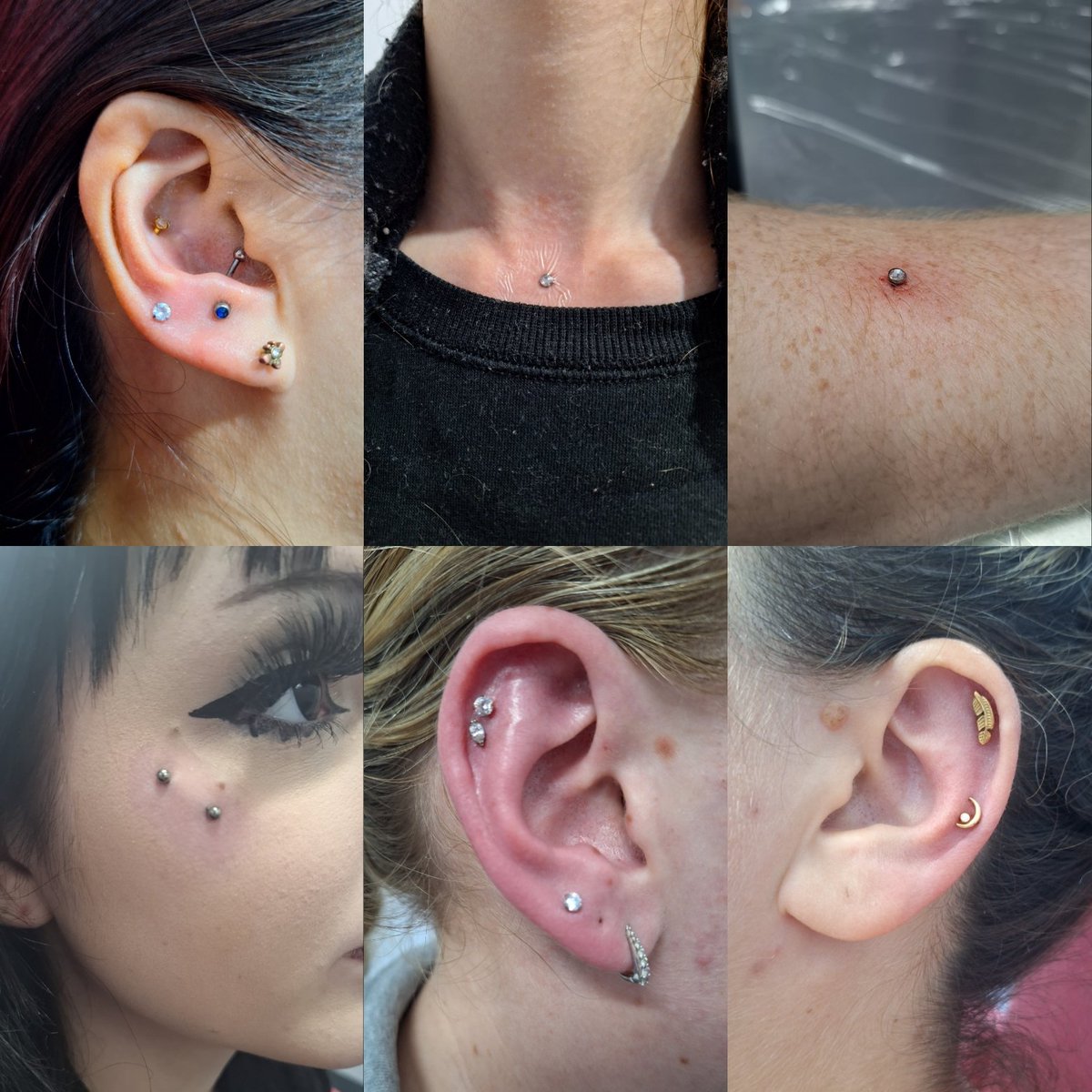 LittlePossum tweet media