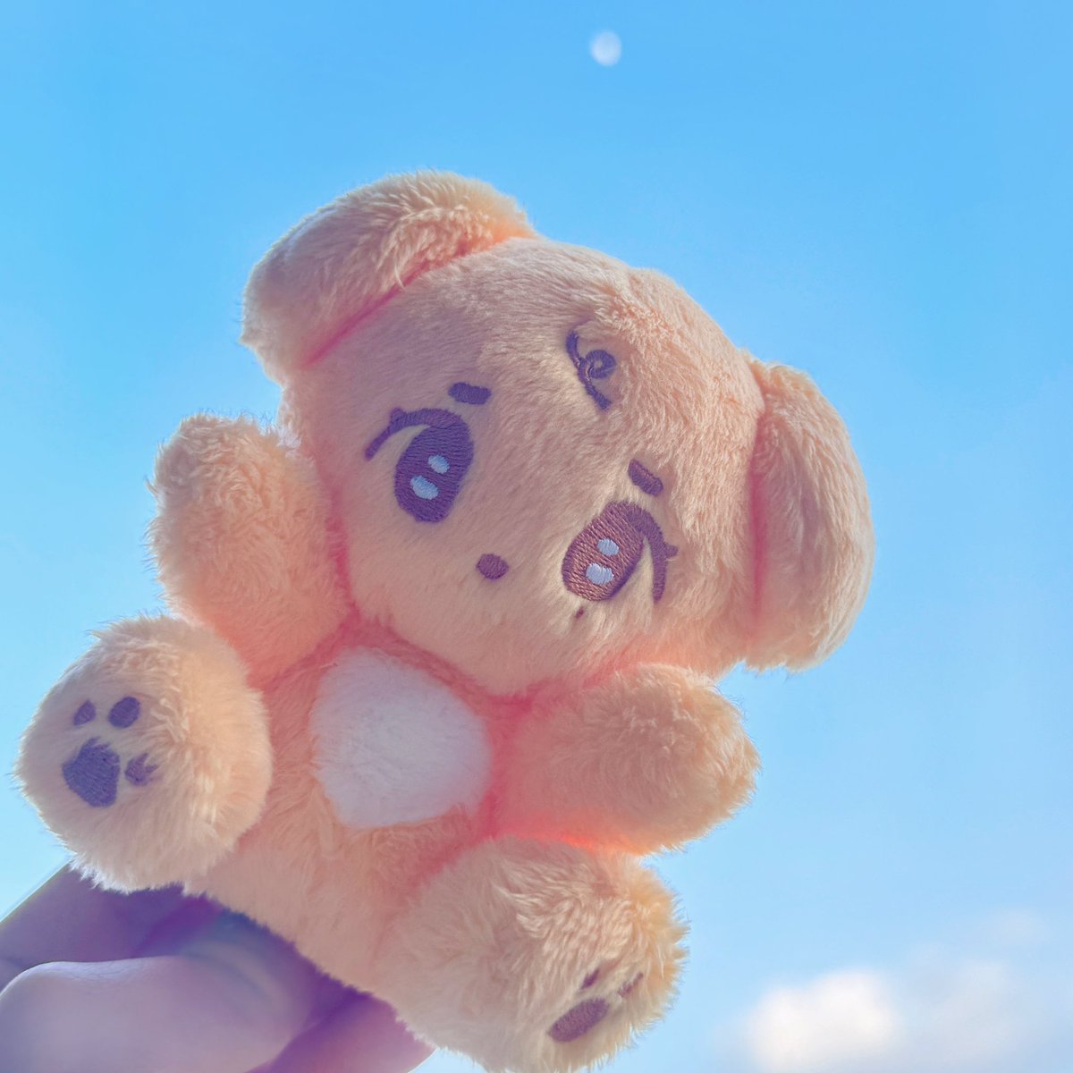 겸만두 tweet media