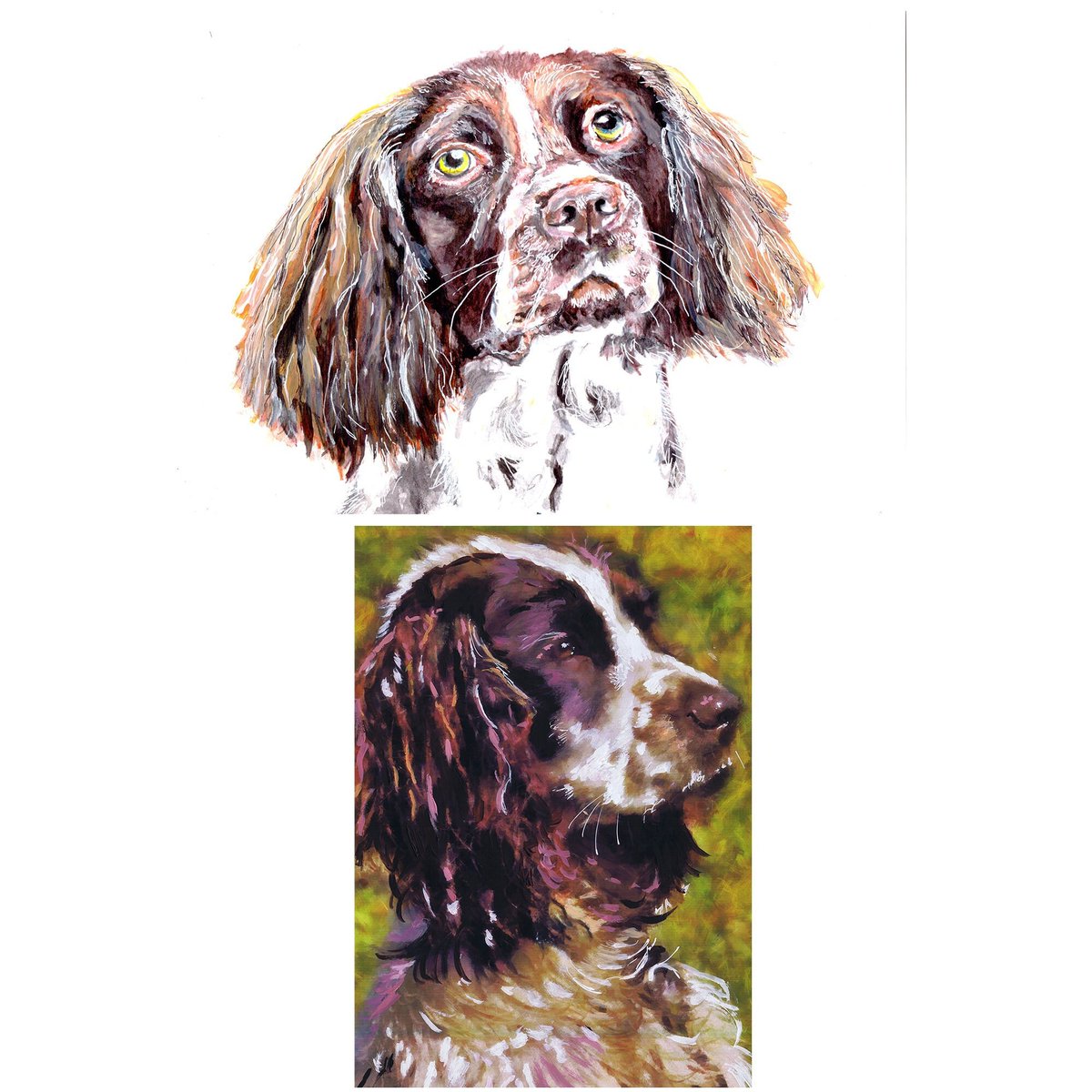 OscarJetson's tweet photo. Springer Spaniel Painting Art Two English Welsh Springer Wall Art Prints, Dog Memorial, Spaniel Mum Picture Gift Choice of Size Signed https://t.co/AI6JgSoBV0 #DogFishArtCo #Etsy #HuntingGift https://t.co/EAbSRe6F6o